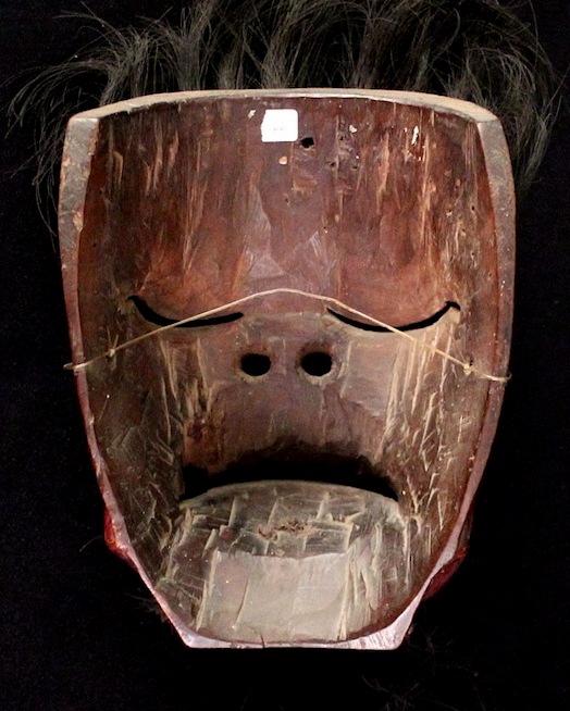 z66: Mask